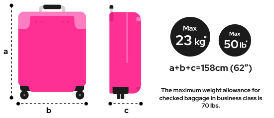 Airline baggage fashion dimensions